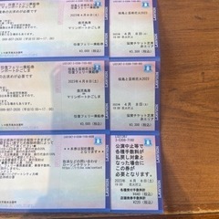 桜島と芸術花火2023のチケット2枚