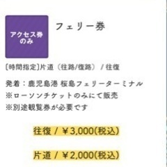 桜島と芸術花火2023のチケット2枚