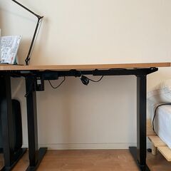 取りに来て頂ける方優先】FLEXISPOT 電動式スタンディングデスク 昇降 