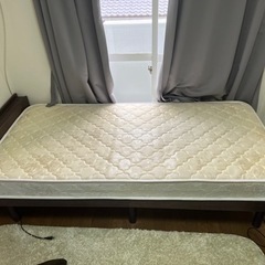 シングルベッド　買って一年