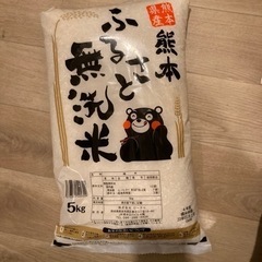 熊本県産❣️無洗米5キロ