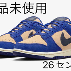 Nike dunk low wmns blue suede