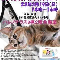 3/19((日)ハレノテラス保護猫譲渡会