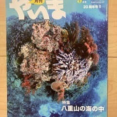 八重山生活情報誌