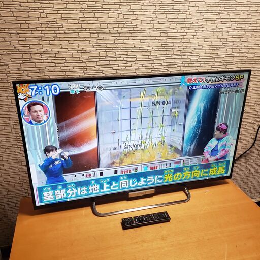 SONY BRAVIA KDL-42W650A 液晶テレビ&東芝外付けHDD3TB/未使用付属