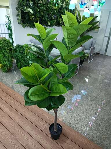 ①【処分価格】新品 ゴムの木(150cm)　人工観葉植物 フェイクグリーン  インテリア　高品質