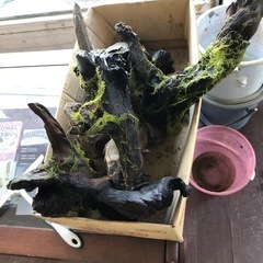 2m水槽+ろ過機材