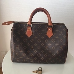 Louis Vuitton Speedy 30