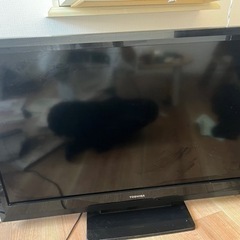 TOSHIBA REGZA TV