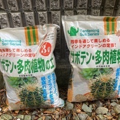 ＊決まりました＊サボテン 多肉植物の土