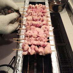 売れてます 業務用 焼鳥焼器 みたらし団子 キャンプ 五平餅 模擬店祭 焼鳥 ガスグリラー やきとり 焼き鳥 焼台やきとり器が 12500円 機器 キッチンキャンピングカー 祭 バーベキュー キャンプ 串焼 下火式 プロパン BBQ ベランピング