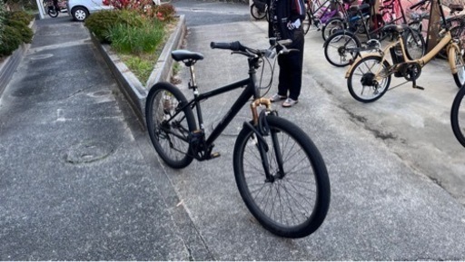 普通のマウンティングバイク1台と電動自転車1台で
