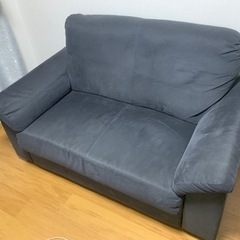 IKEA KNISLINGE クニースリンゲ(2人掛けソファ)