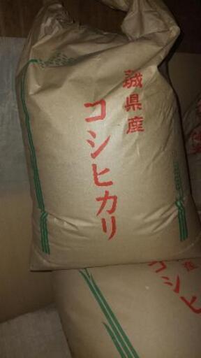 お米コシヒカリ30キロ玄米