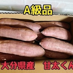 【取引者決定】サツマイモ　甘太くん　5kg(10本前後)