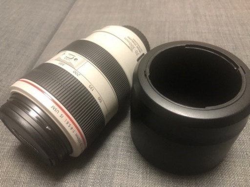 レンズ canon 70-300 1:4-5.6L