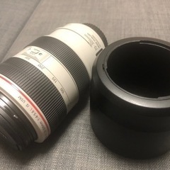 canon 70-300 1:4-5.6L