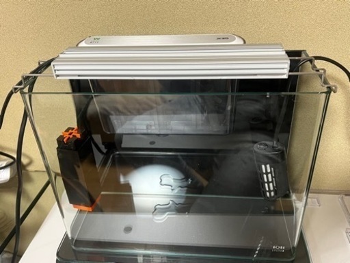 アクアシステム　メダカ　水槽　フルセット　ベタ　ビーシュリンプ