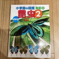 ほぼ新品★小学館の図鑑NEO 昆虫2