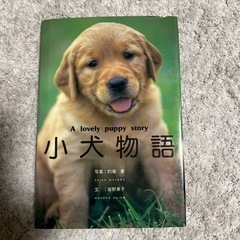 【決まりました】小犬物語