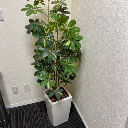 観葉植物　造花