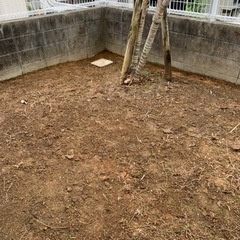 冷却人工芝〔去年の台風6号問題無しでした‼️〕