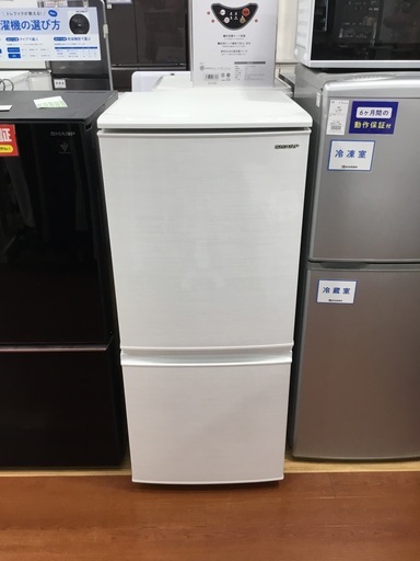 SHARP(シャープ)の2ドア冷蔵庫(2019年製)を紹介します‼︎ トレジャーファクトリーつくば店