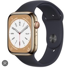 Apple Watch ゴールドステンレススチール　45mm セ...