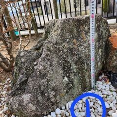 ■庭石 5種類 (無料)日本庭園などに。年季もの