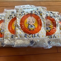【お話し中】熊本県産 精麦 1kg × 6袋