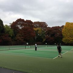 京都御苑でテニスを毎月2回 土曜日に･･･の画像