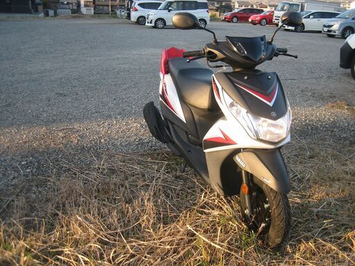 シグナス レイZ エンジン絶好調 動画有り