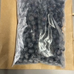【ネット決済・配送可】生食用大粒冷凍ブルーベリー　1kg