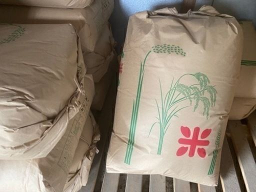 令和4年 新米 キヌヒカリ30kg