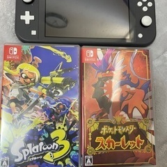 Nintendo Switch lite グレー ソフトセット 本日限定