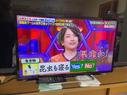 美品 液晶テレビ 32型 YouTube Wi-Fi 外付けHDD対応 製造番号854264