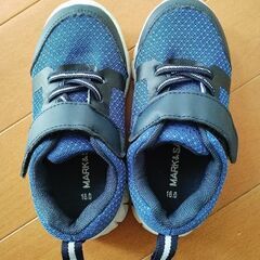 【16.0cm】ブルーの靴