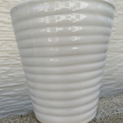 白★陶器植木鉢