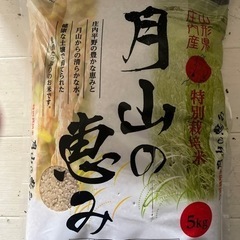 ふるさと納税返礼品　新米　月山の恵み　山形県庄内産　特別栽培米　5kg