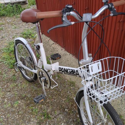 受け渡し予定者有り ガラス水槽 600×450×500 マーフィード