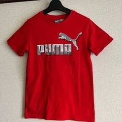 【値下げ！】PUMA 赤Tシャツ・サイズ表記10〜12歳　高学年