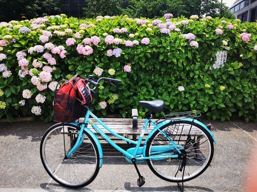 綺麗で綺麗な中古自転車だけで8000円 地下鉄浅草・蔵前駅