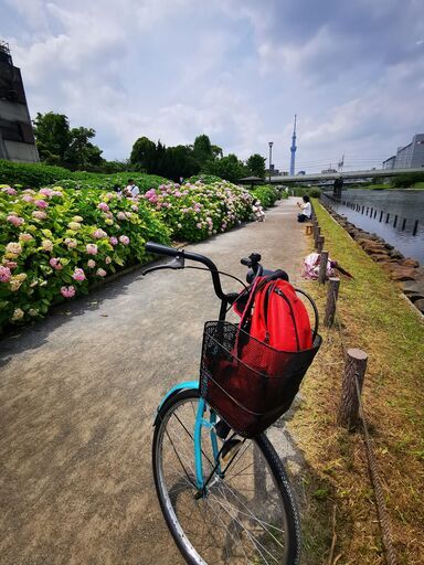 綺麗で綺麗な中古自転車だけで8000円 地下鉄浅草・蔵前駅