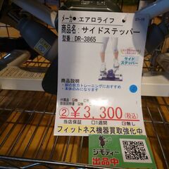 エアロライフ  サイドステッパー  DR-3865　①【引取限定...