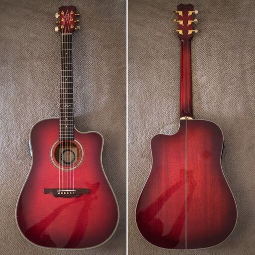 ALVAREZ 5083N USAハンドメイドエレアコ