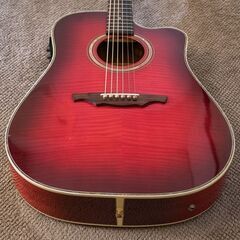 ALVAREZ 5083N USAハンドメイドエレアコ-ヴェイパーフライ 23cmの通販 