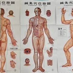 足・耳ツボ模型、ポスター　格安で処分致します。