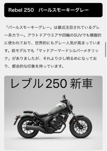 【新車】レブル250 パールスモーキーグレー