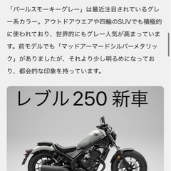 【新車】レブル250 パールスモーキーグレー