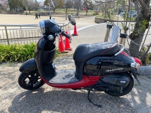 ホンダ　ジョルノ